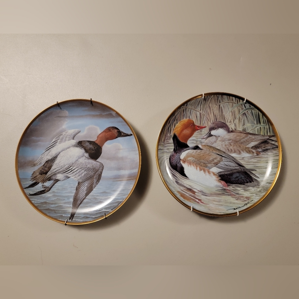 Vintage Red Crested Pochard and Canvasback Decorative Porcelain Plates